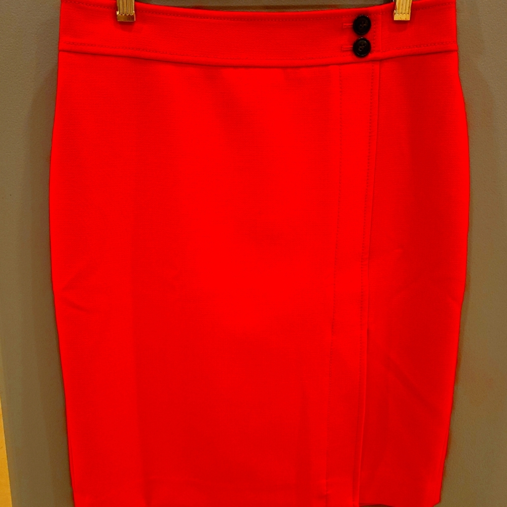 Ann Taylor Fitted Skirt